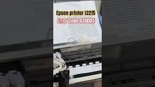Epson printer Error Code 030005 