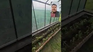 изготовление теплицы 4 часть