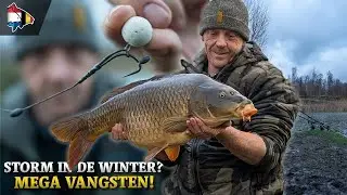 STORM IN DE WINTER? mega vangsten! 👀
