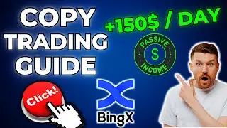 The Only Copy Trading Video You Will Ever Need… (Beginner Guide)