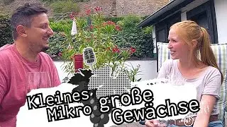 #asktoni - Kleines Mikro, große Gewächse - Julia Bertram // Weingut Bertram-Baltes