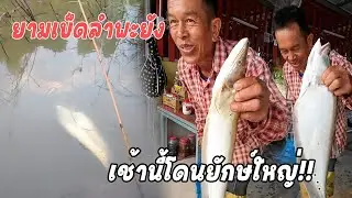 สองยักษ์ใหญ่ลำพะยัง โดนเบ็ดพ่อน้อยแล้วเช้านี้!!