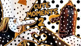 Angine de Poitrine being Silly Goofy Cuties ❤️ compilation Vol II