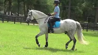 Karla.CustomSaddlery 3