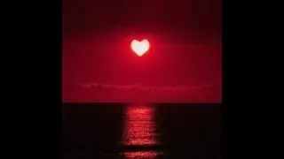(free) Lofi Bossa Nova Type Beat - Love You More