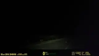 Кабанчики. 16+
