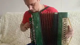 Imany Don't Be So Shy на гармошке