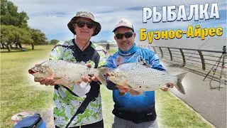Where in the CITY you can FISH CLEARLY and FOR FREE. Buenos Aires
