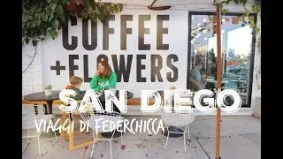 San Diego in famiglia: La Jolla, Coronado Island e tanto altro
