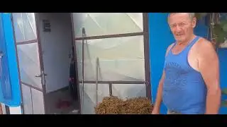 Kako rasterati veštice