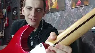Washburn x-series. Обзор