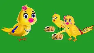 Tuni Chidiya rani Green Screen Copyright Free | No Copyright
