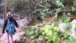 Laurel Falls