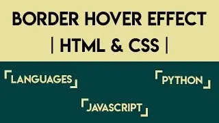 Border Hover Effect | HTML & CSS |