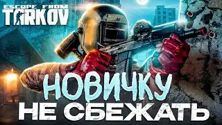 TARKOV спустя год игры в Arena Breakout. ОПЫТ РЕШАЕТ?