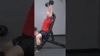Flat - Incline Utility Weight Bench #fitness #fitnessgear #weightlifting #weighttraining #homegym
