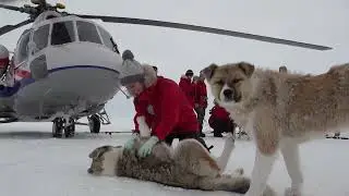РГО арктическая экспедиция