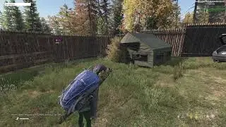 DayZ Chernorus// Сидим у костра, лутаемся, строимся, файтимся.
