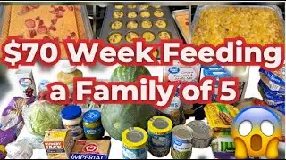 Budget Cooking: Cheap Family Meals, Large Family Meals for the Week, Grocery Haul & Meal Plan