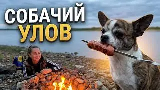 212 Рыбалка пошла под откос ....... 🙈