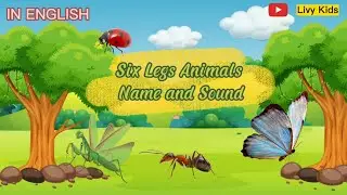 Six Legs Animals Name and Their Sounds For Kids In English