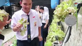 Pendidikan Inklusi Sekolah Galuh Handayani - SMP Belajar Memanen Sayuran di Kebun Belakang Sekolah