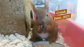 Part 7: Crash: June, 2021