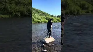 НЕРЕСТ ГОРБУШИ В МАГАДАНЕ ЭТО НУЖНО ВИДЕТЬ | ДУКЧА МАГАДАН |