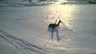 Он сможет?!
