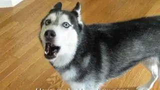 Mishka says 