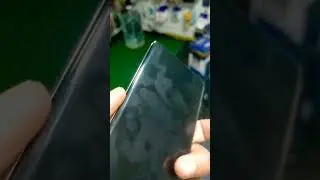 viral songs 