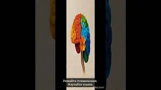 Развитие мозга