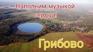 Большой праздничный концерт, посвящённый дню деревни Грибово 