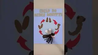 🚨ciclo do mosquito da dengue‼️ #voltaasaulas #arte #artesanato