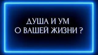ДУША И УМ О ВАШЕЙ ЖИЗНИ ?