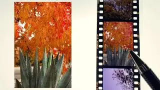 Kodak Ektachrome 100