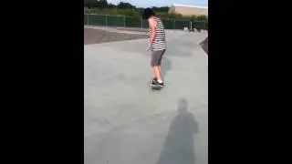 Brendawgs Mastic Skatepark line 8-14-12