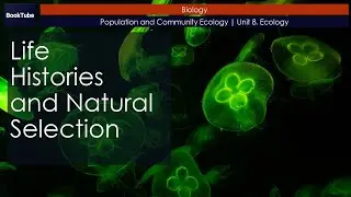 Life Histories and Natural Selection | Population and Community Ecology | Unit 8. Ecology