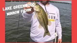 Greenwood Minnow Fishing | Summer '24