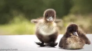 анимационное видео часть 4