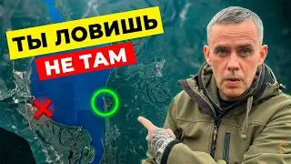 HOW TO KNOW WHERE THE CARP ARE 15 Minutes BEFORE Fishing