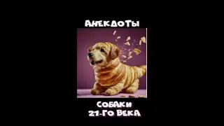 Анекдоты  СОБАКИ и ЛЮДИ