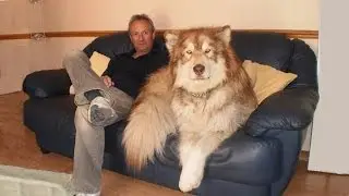 12 Animals You Won’t Believe Actually Exist!