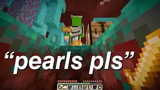 pov: dream is speedrunning and you're a piglin