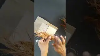 coconut Husk craft #coconuthusk #craft #viralcraft