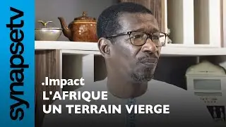 Mary teuw Niane - Africa, a virgin territory