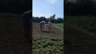 22 августа 2016 г.(48)