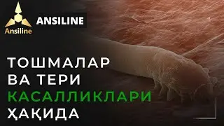 TOSHMALAR VA TERI KASALLIKLARI HAQIDA . ANSILINE