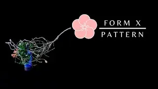 Ikebana Elements 3- Form X Pattern (Abridged version) @IkebanaDojo