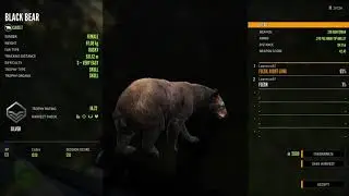 Hunting Bear